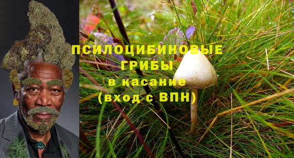 прущая мука Няндома